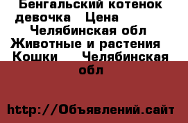 Бенгальский котенок девочка › Цена ­ 2 000 - Челябинская обл. Животные и растения » Кошки   . Челябинская обл.